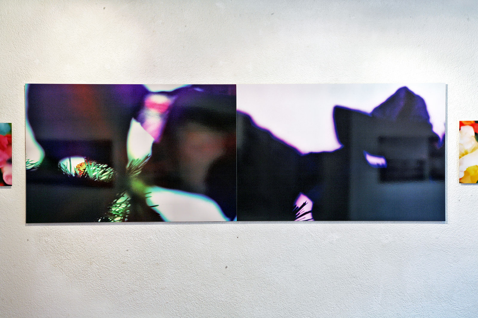 09_werkgruppe2-blumenbilder_raum-bern-2007_francisco-paco-carrascosa_IMG_0007